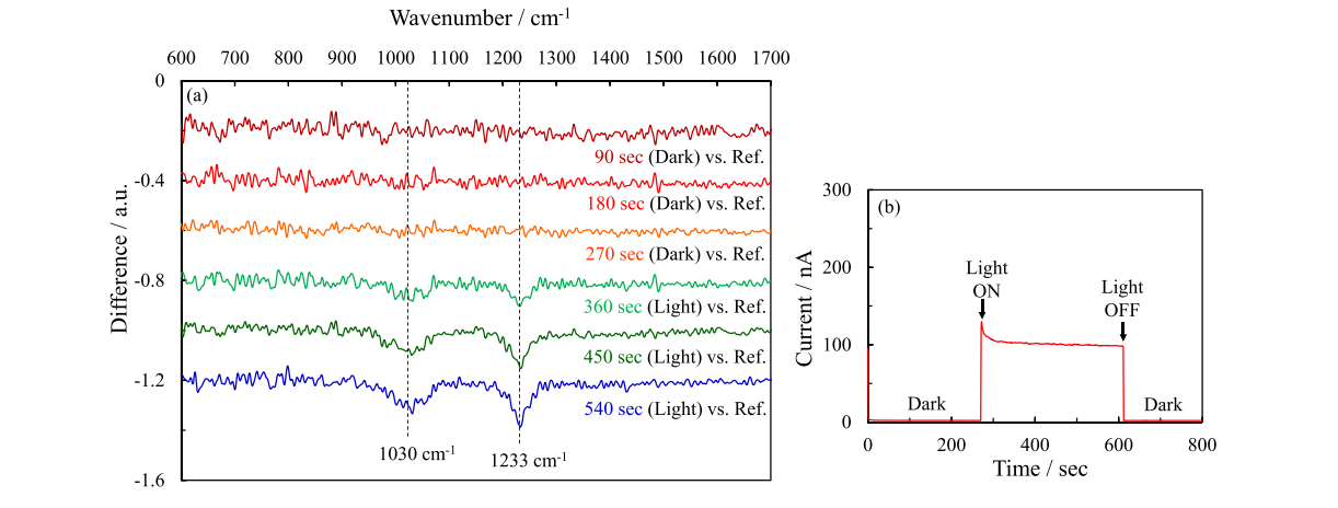 单斜钒酸铋光催化水氧化原位红外光谱测试装置示意图，显示ATR晶体与多孔电极接触结构