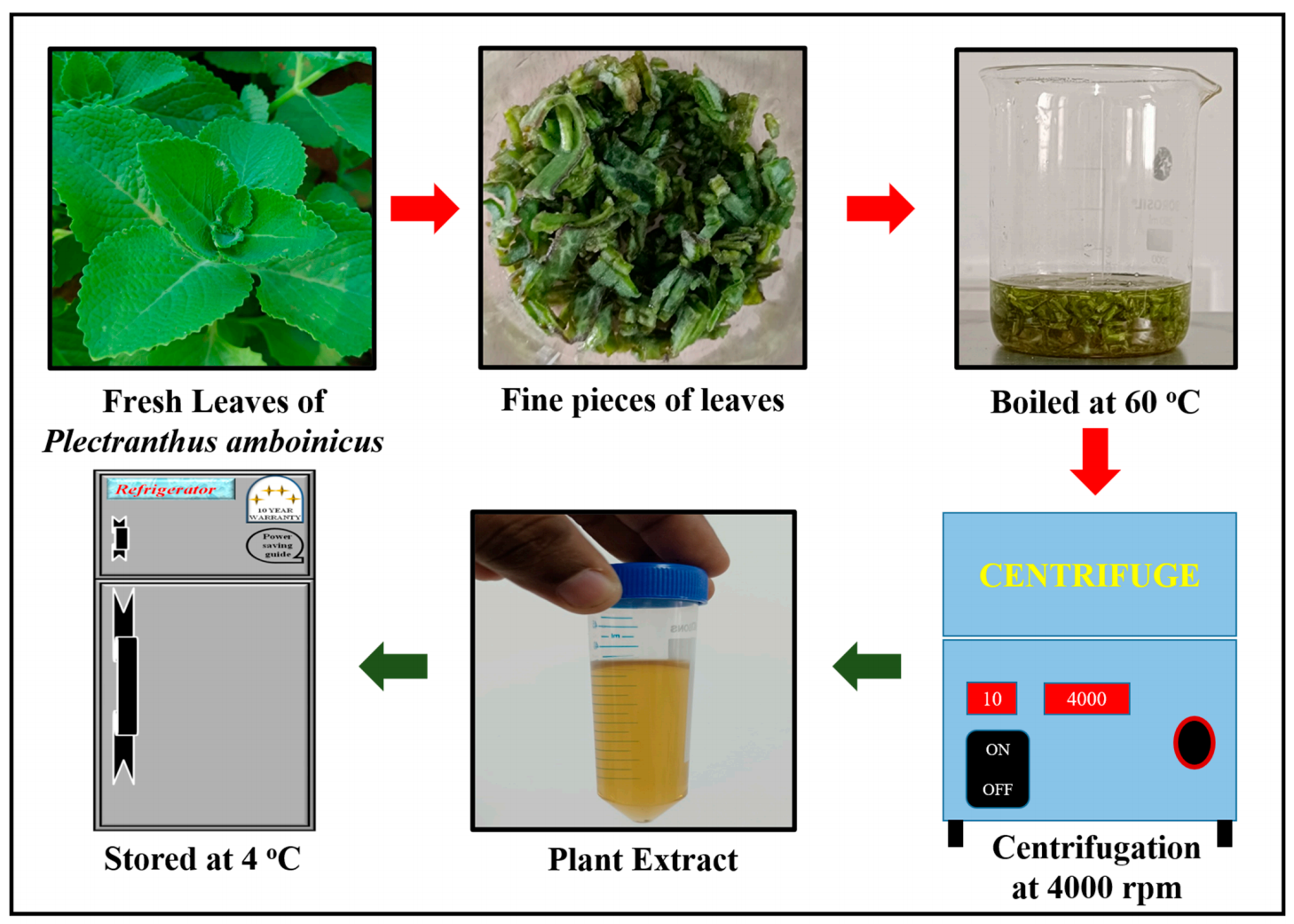 夹竹桃叶提取物制备银纳米粒子流程示意图