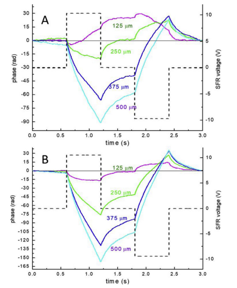 聚苯乙烯乳胶示踪剂在不同粒径下的电渗流方向对比