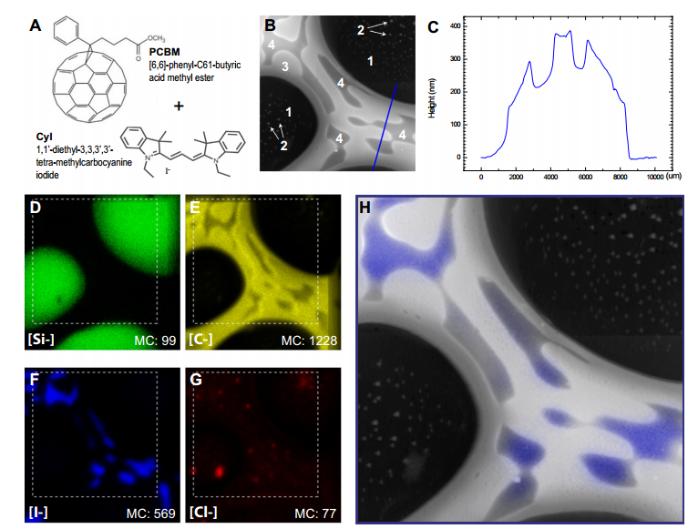 SFM与ToF-SIMS联用系统三维分析流程示意图