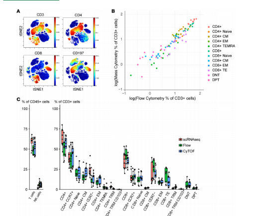 基于34标记物的T细胞亚群质谱流式分析图,8色聚类显示CD4+/CD8+分布
