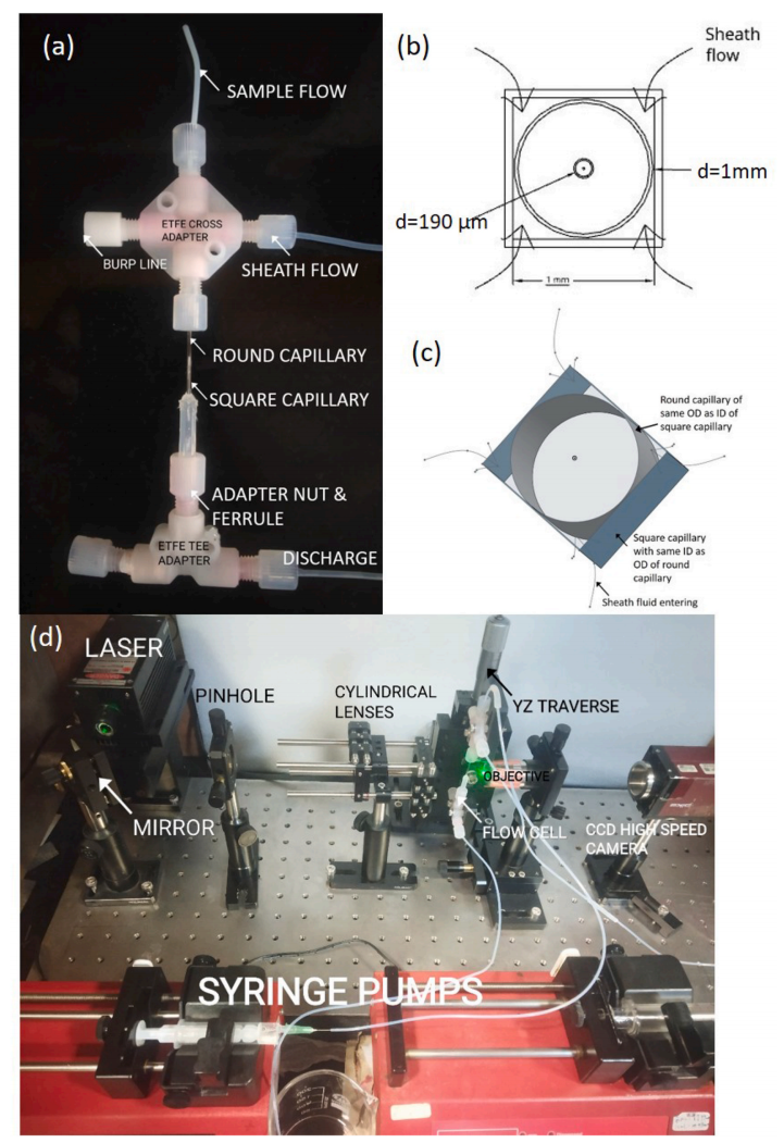 石英毛细管流体聚焦结构剖面图
