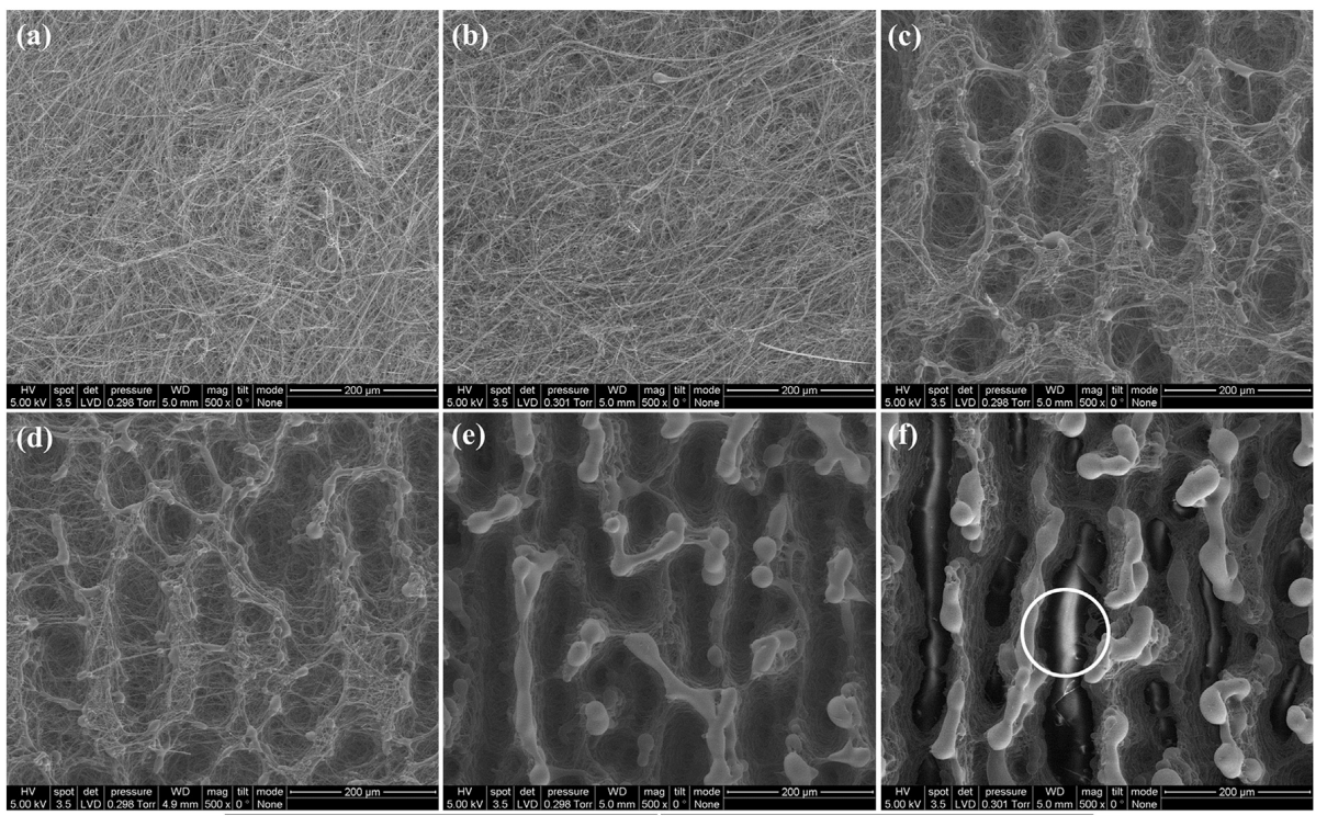 不同激光功率刻蚀效果SEM对比：4%功率下OTS层完全去除，纤维结构保持完整
