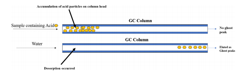 酸性化合物在进样口吸附并解吸形成鬼峰示意图