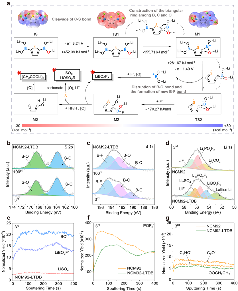 LTDB电化学氧化分解机制、XPS表征及近表面成分TOF-SIMS深度剖析