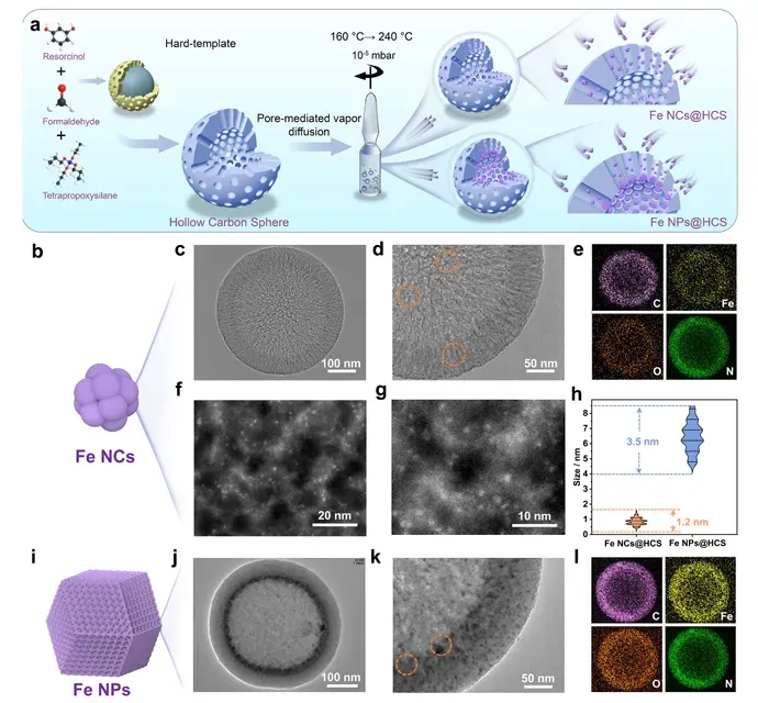  (a) Schematic diagram of the PVD strategy to synthesize Fe NCs@HCS and Fe NPs@HCS. (b) Schematic diagram of Fe NCs. (c-d) TEM images with different magnifications, (e) STEM-EDX mapping image, and (f-g) HAADF-STEM images of Fe NCs@HCS with different magnifications. (h) Particle size distribution of the Fe NCs@HCS and Fe NPs@HCS. (i) Schematic diagram of Fe NPs. (j-k) TEM images with different magnifications and (l) STEM-EDX mapping image of Fe NPs@HCS.