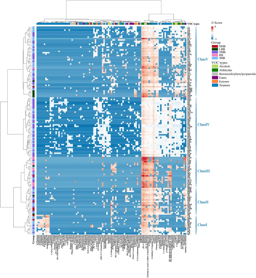 热图显示挥发性化合物（行）在各品种（列）中的相对丰度（Z 分数归一化）。缩写：NHB，北高丛蓝莓；SHB，南高丛蓝莓；RB，兔眼蓝莓；LB，低灌蓝莓；HHB，半高丛蓝莓。